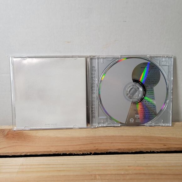 CD Melissa Etheridge - Your Little Secret - Picture 2 of 5